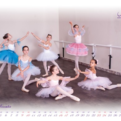 Бутиков календар DS Magnifique - 2019